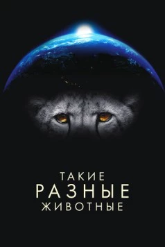 Такие разные животные / Life in the Animal Kingdom (2024) cериал скачать через торрент в хорошем качестве