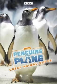 Пингвины на самолете: Передвижение великих животных / Penguins on a Plane: Great Animal Moves (2014) cериал скачать через торрент в хорошем качестве