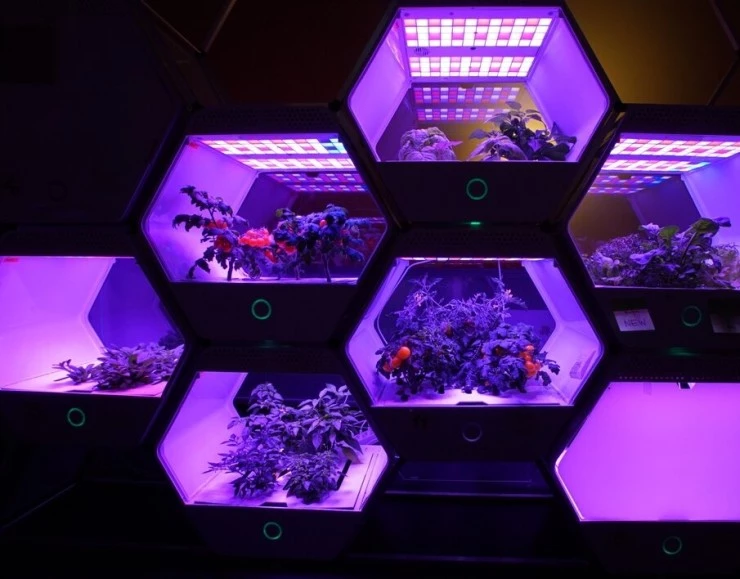 Человек 2.0. Ре-эволюция (2019) в хорошем качестве через торрент Человек 2.0. Ре-эволюция (2019) сериал в хорошем качестве через торрент