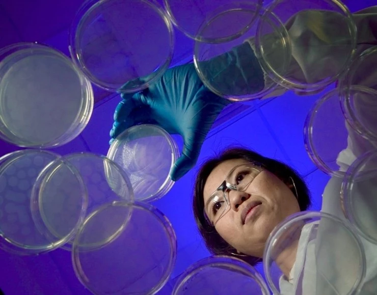 Человек 2.0. Ре-эволюция (2019) через торрент бесплатно Человек 2.0. Ре-эволюция (2019) сериал через торрент бесплатно