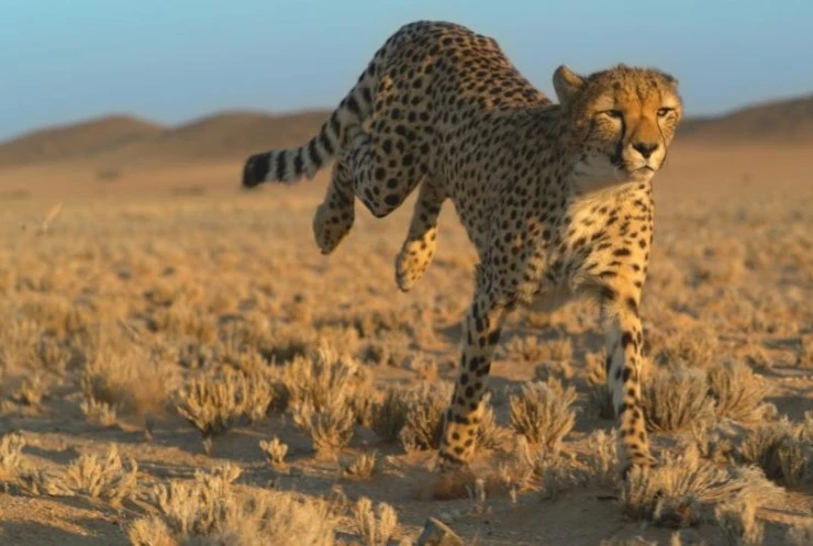 Свирепые королевы (2020) через торрент скачать Свирепые королевы (2020) сериал через торрент скачать