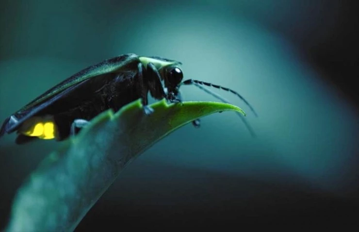 Свирепые королевы (2020) в хорошем качестве через торрент Свирепые королевы (2020) сериал в хорошем качестве через торрент