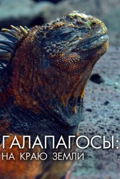 Галапагосы: На краю земли / Galapagos: The Edge of the World (2018) cериал скачать через торрент в хорошем качестве