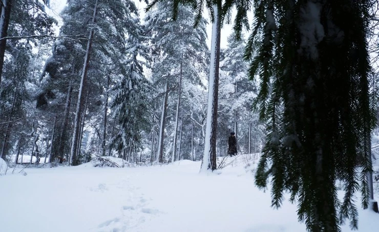 КАРАнтин (2021) через торрент бесплатно КАРАнтин (2021) фильм через торрент бесплатно