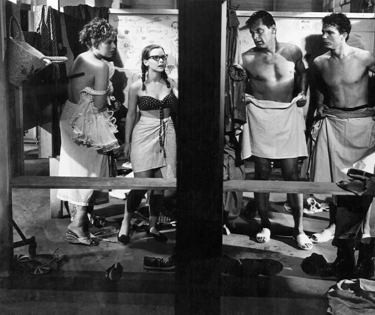 Пикник (1955) через торрент скачать Пикник (1955) фильм через торрент скачать