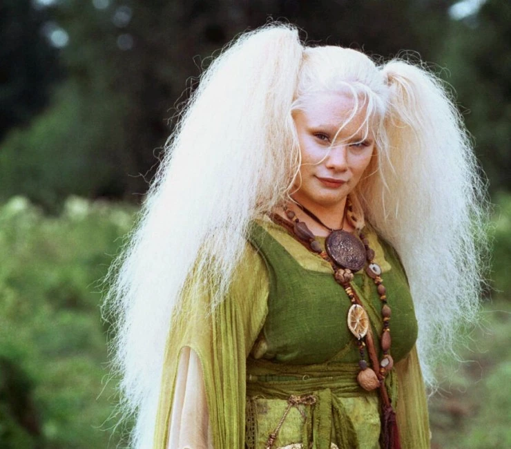 Ролли и лесной дух (2001) через торрент скачать Ролли и лесной дух (2001) фильм через торрент скачать