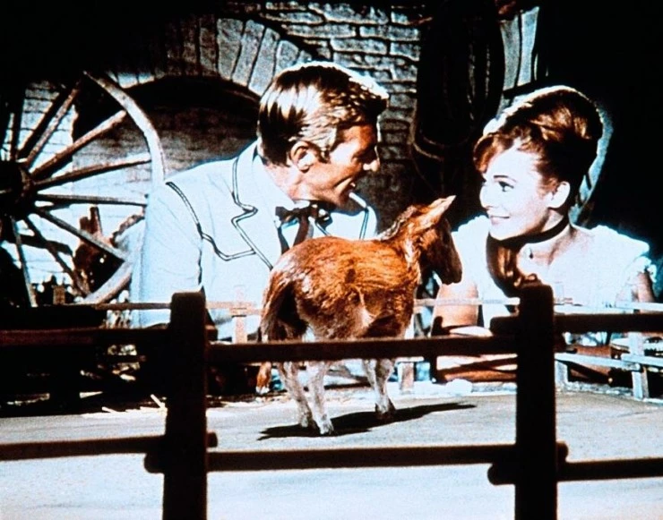 Долина Гванги (1969) через торрент скачать Долина Гванги (1969) фильм через торрент скачать