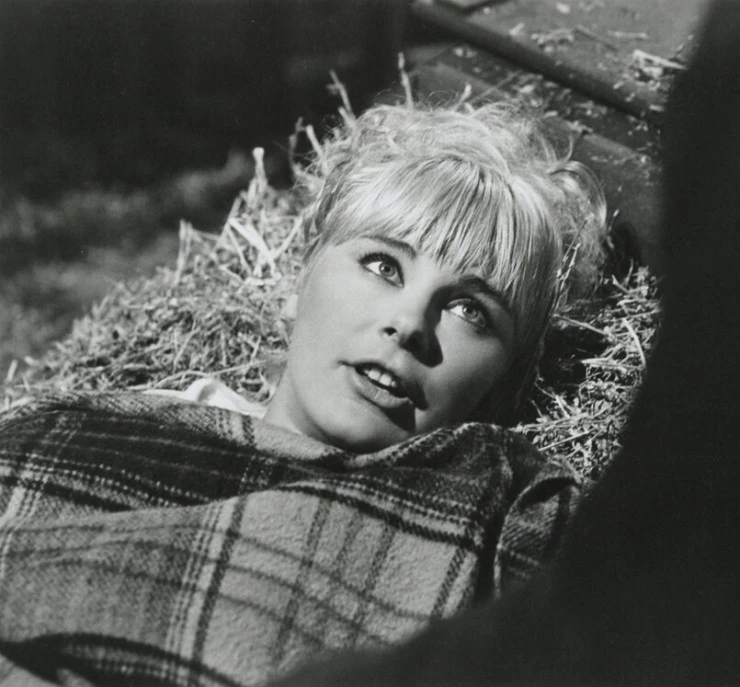 Искусство любви (1965) через торрент бесплатно Искусство любви (1965) фильм через торрент бесплатно