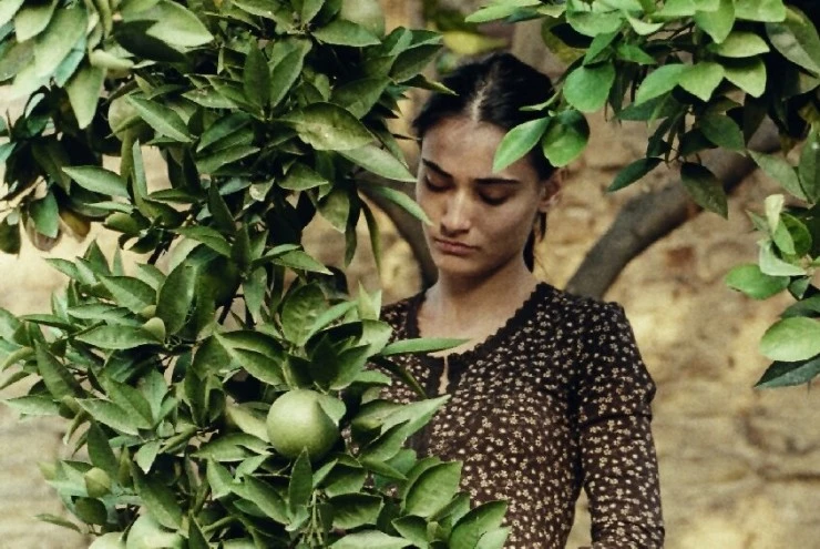 Яйцо (2007) через торрент скачать Яйцо (2007) фильм через торрент скачать