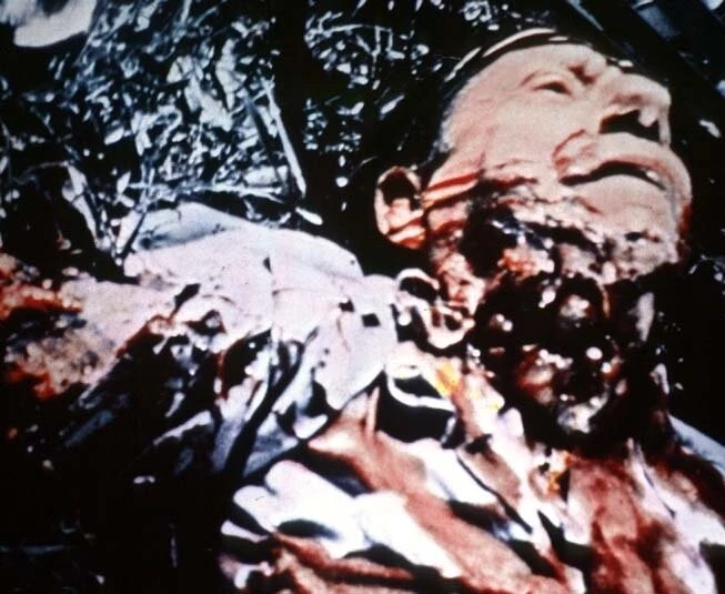 Дикие звери (1984) в хорошем качестве через торрент Дикие звери (1984) фильм в хорошем качестве через торрент