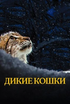 Дикие кошки / Lynx (2021) фильм скачать через торрент в хорошем качестве