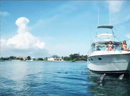 Приключения на Багамах (2010) через торрент скачать Приключения на Багамах (2010) фильм через торрент скачать