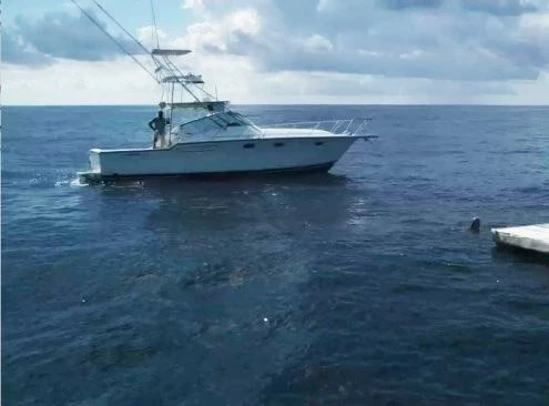 Приключения на Багамах (2010) через торрент бесплатно Приключения на Багамах (2010) фильм через торрент бесплатно