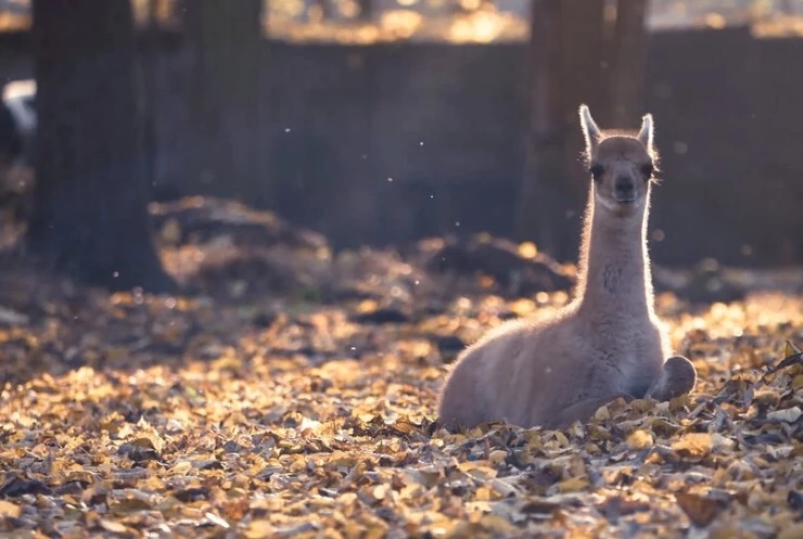 Область высокого полета (2019) в хорошем качестве через торрент Область высокого полета (2019) фильм в хорошем качестве через торрент