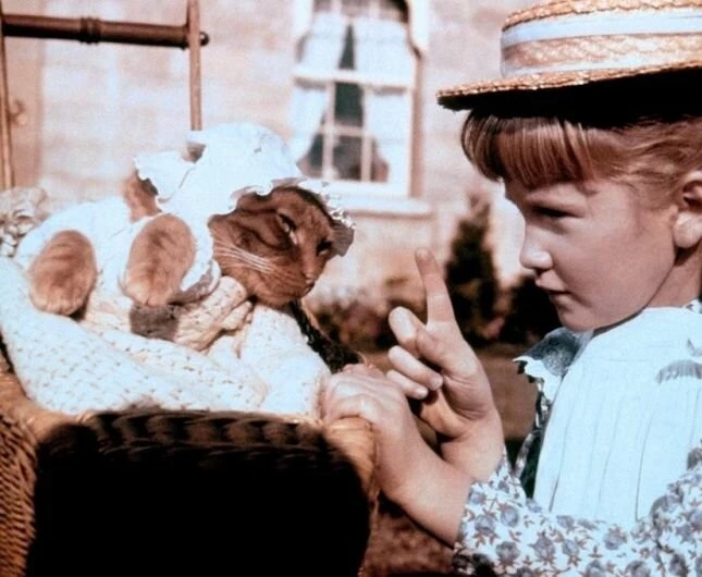 Три жизни Томазины (1963) через торрент бесплатно Три жизни Томазины (1963) фильм через торрент бесплатно