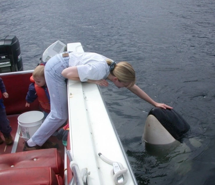 Кит (2011) через торрент скачать Кит (2011) фильм через торрент скачать