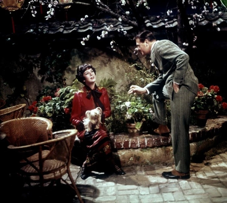 Цыганка (1962) в хорошем качестве через торрент Цыганка (1962) фильм в хорошем качестве через торрент