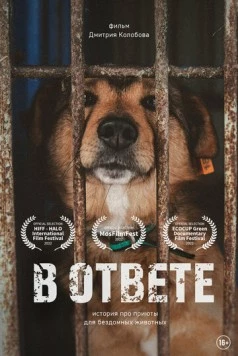 В ответе (2021) фильм скачать через торрент в хорошем качестве