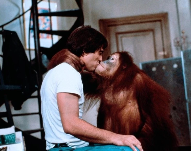 Обезьянник (1981) через торрент скачать Обезьянник (1981) фильм через торрент скачать