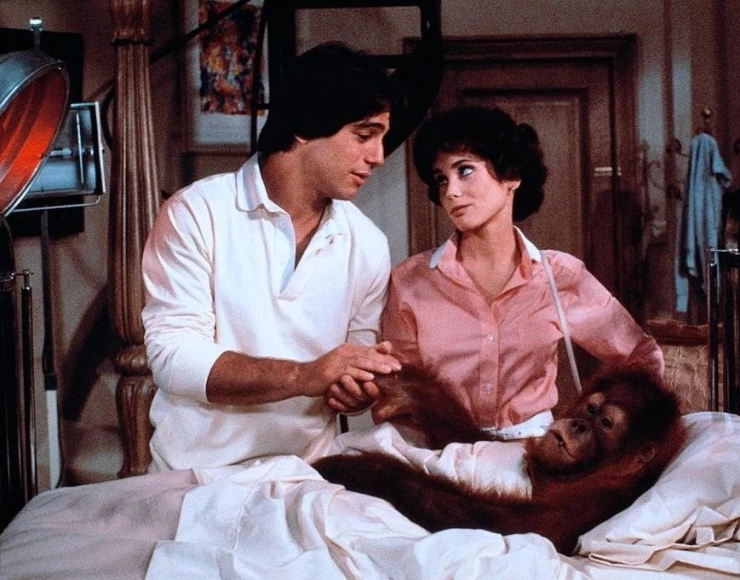 Обезьянник (1981) в хорошем качестве через торрент Обезьянник (1981) фильм в хорошем качестве через торрент