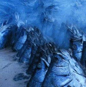 Кошмар Дарвина (2004) через торрент скачать Кошмар Дарвина (2004) фильм через торрент скачать