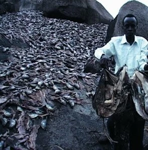 Кошмар Дарвина (2004) через торрент бесплатно Кошмар Дарвина (2004) фильм через торрент бесплатно