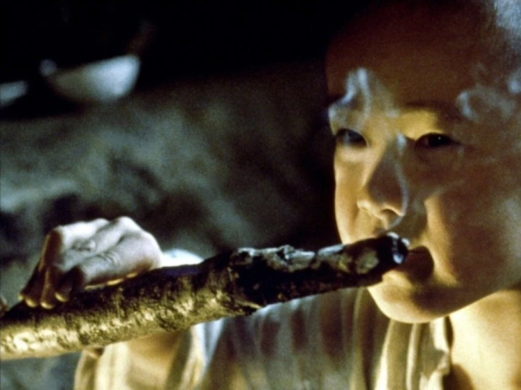 Почему Бодхидхарма ушел на Восток? (1989) через торрент скачать Почему Бодхидхарма ушел на Восток? (1989) фильм через торрент скачать