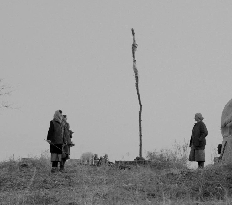 Эвакуация (2025) через торрент скачать Эвакуация (2025) фильм через торрент скачать