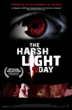 Резкий дневной свет / The Harsh Light of Day (2012) фильм скачать через торрент в хорошем качестве