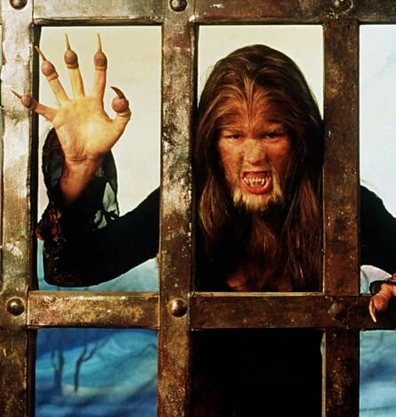 Охота на оборотня (2001) через торрент скачать Охота на оборотня (2001) фильм через торрент скачать