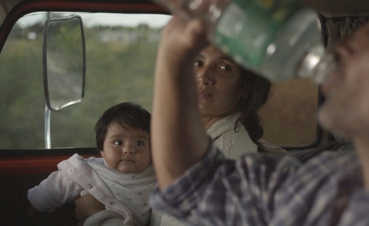 Акации (2011) через торрент бесплатно Акации (2011) фильм через торрент бесплатно