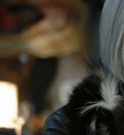 Китаро (2007) через торрент бесплатно Китаро (2007) фильм через торрент бесплатно