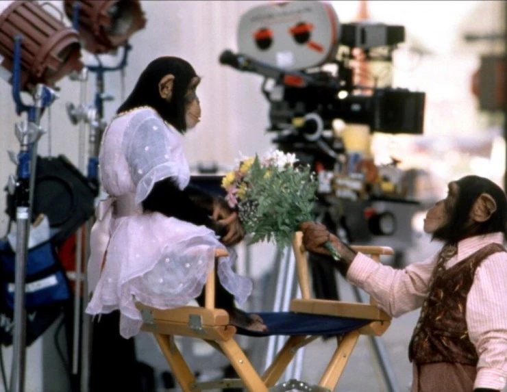 Бадди (1997) через торрент бесплатно Бадди (1997) фильм через торрент бесплатно