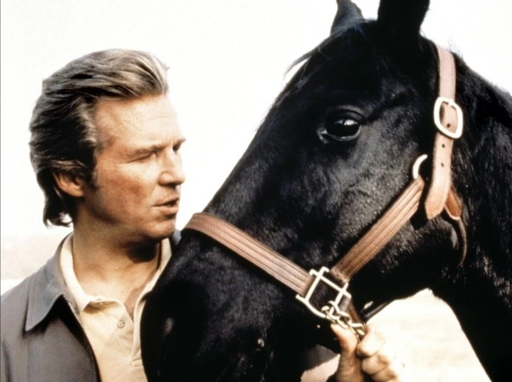 Симпатико (1999) через торрент бесплатно Симпатико (1999) фильм через торрент бесплатно