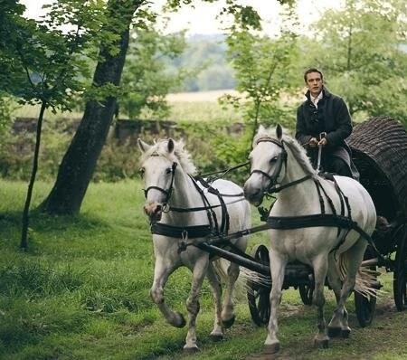 Пан Тадеуш (1999) через торрент скачать Пан Тадеуш (1999) фильм через торрент скачать