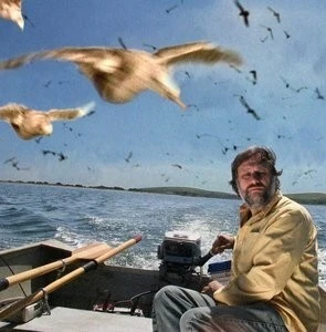 Киногид извращенца (2006) через торрент бесплатно Киногид извращенца (2006) фильм через торрент бесплатно