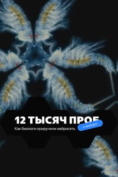 12 тысяч проб (2022) фильм скачать через торрент в хорошем качестве