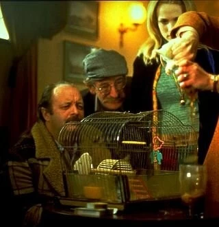 Мистер крыс (2000) через торрент бесплатно Мистер крыс (2000) фильм через торрент бесплатно