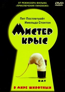 Мистер крыс / Rat (2000) фильм скачать через торрент в хорошем качестве