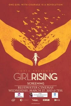 Женское восхождение / Girl Rising (2013) фильм скачать через торрент в хорошем качестве