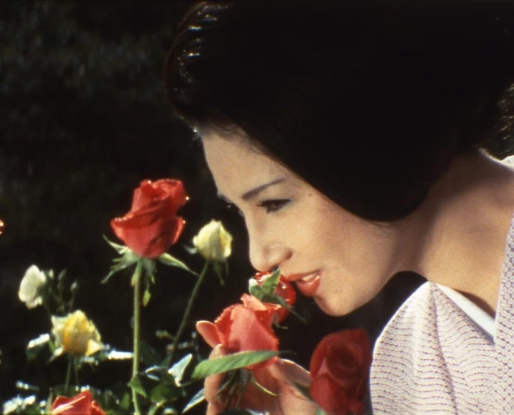 Цветок и змея (1974) через торрент бесплатно Цветок и змея (1974) фильм через торрент бесплатно