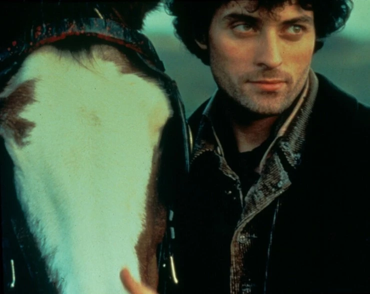 В краю лесов (1997) через торрент скачать В краю лесов (1997) фильм через торрент скачать