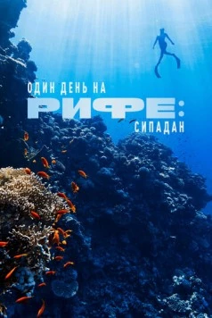Один день на рифе: Сипадан / A Day on the Reef: Sipadan (2024) фильм скачать через торрент в хорошем качестве