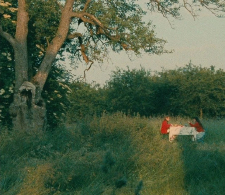 4 приключения Ренетт и Мирабель (1986) через торрент бесплатно 4 приключения Ренетт и Мирабель (1986) фильм через торрент бесплатно