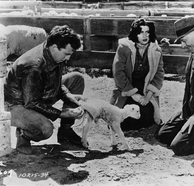 Дикий ветер (1957) через торрент скачать Дикий ветер (1957) фильм через торрент скачать