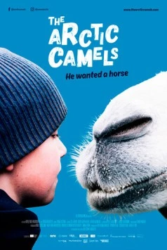 Мой друг северный верблюд / The Arctic Camels (2019) фильм скачать через торрент в хорошем качестве
