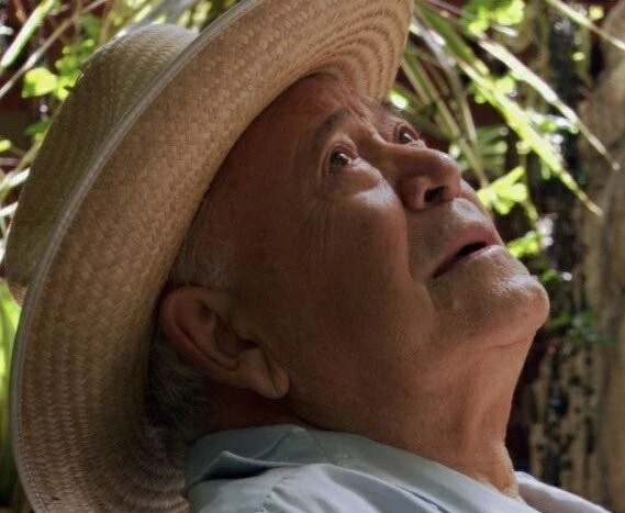 Пятнадцатилетняя (2006) через торрент бесплатно Пятнадцатилетняя (2006) фильм через торрент бесплатно