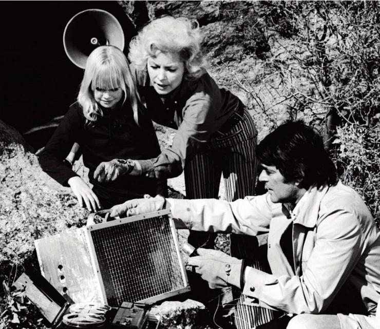 Ночь кролика (1972) через торрент бесплатно Ночь кролика (1972) фильм через торрент бесплатно