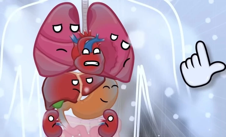 Наше тело (2023) через торрент бесплатно Наше тело (2023) мультфильм через торрент бесплатно