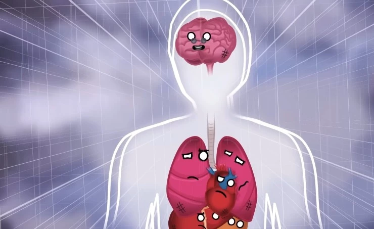 Наше тело (2023) через торрент скачать Наше тело (2023) мультфильм через торрент скачать